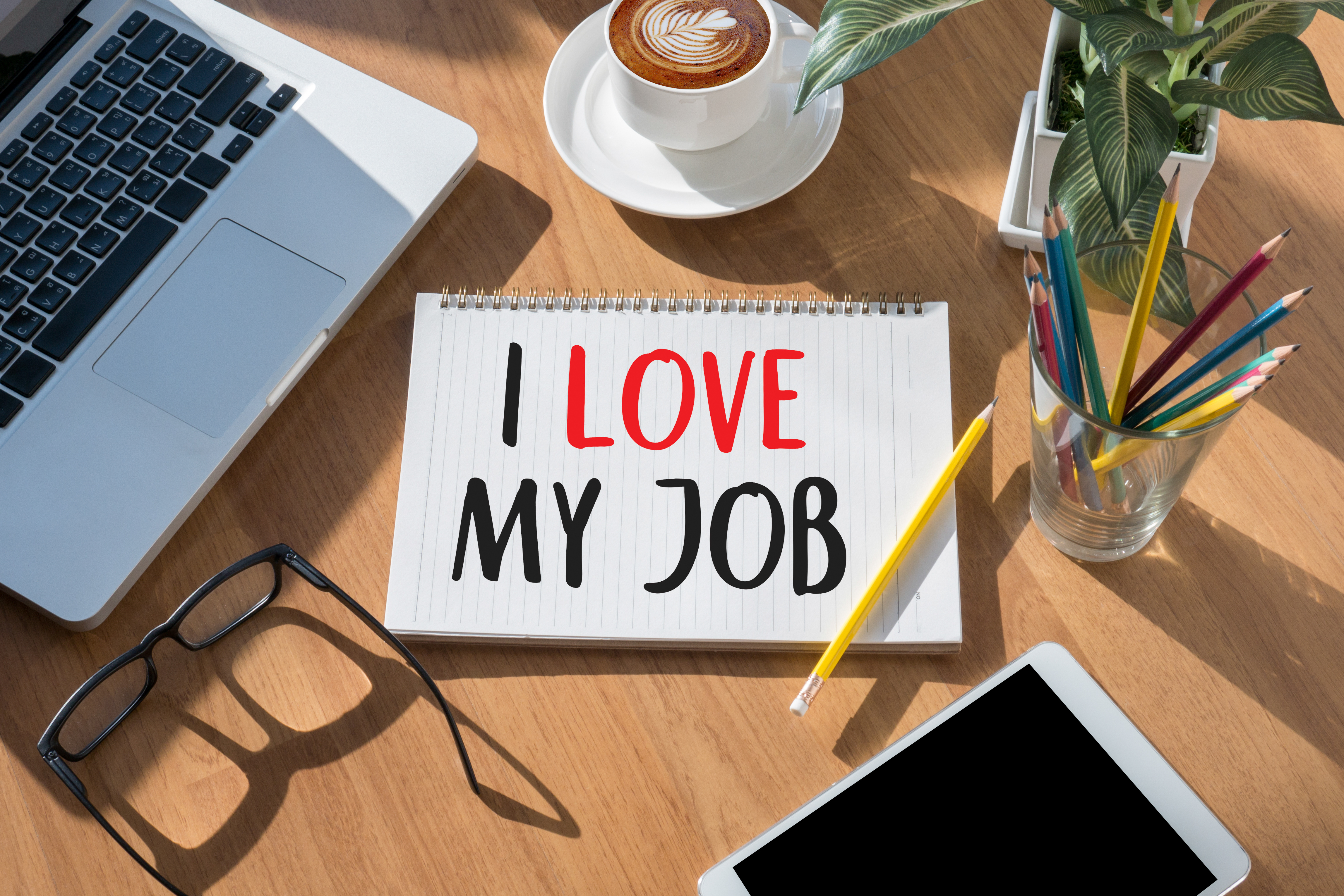 Employee Experience